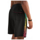 O'neill Ανδρικό μαγιό Mysto Side Panel 18'' Boardshorts